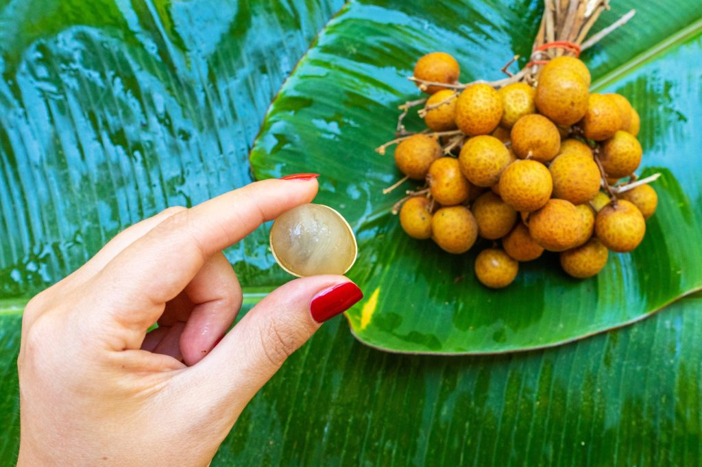 bunch-longan-branches-background-green-banana-leaf-vitamins-fruits-healthy-foods-scaled.jpg